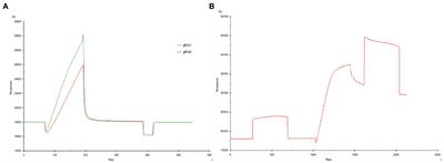 The interaction of peptide inhibitors and Aβ protein: Binding mode analysis, inhibition of the formation of Aβ aggregates, and then exert neuroprotective effects